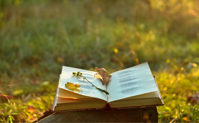 A book open in a green field with leaves on the pages