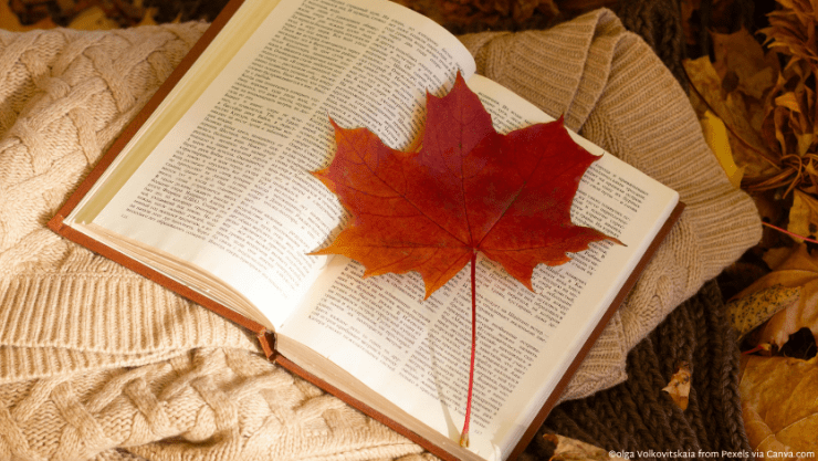 A red leaf on an open book