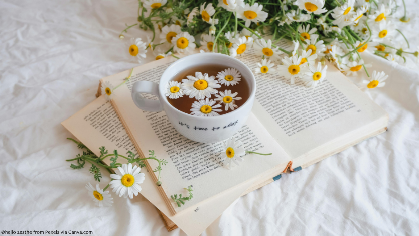 Flowers in a tea cup on top of an open book