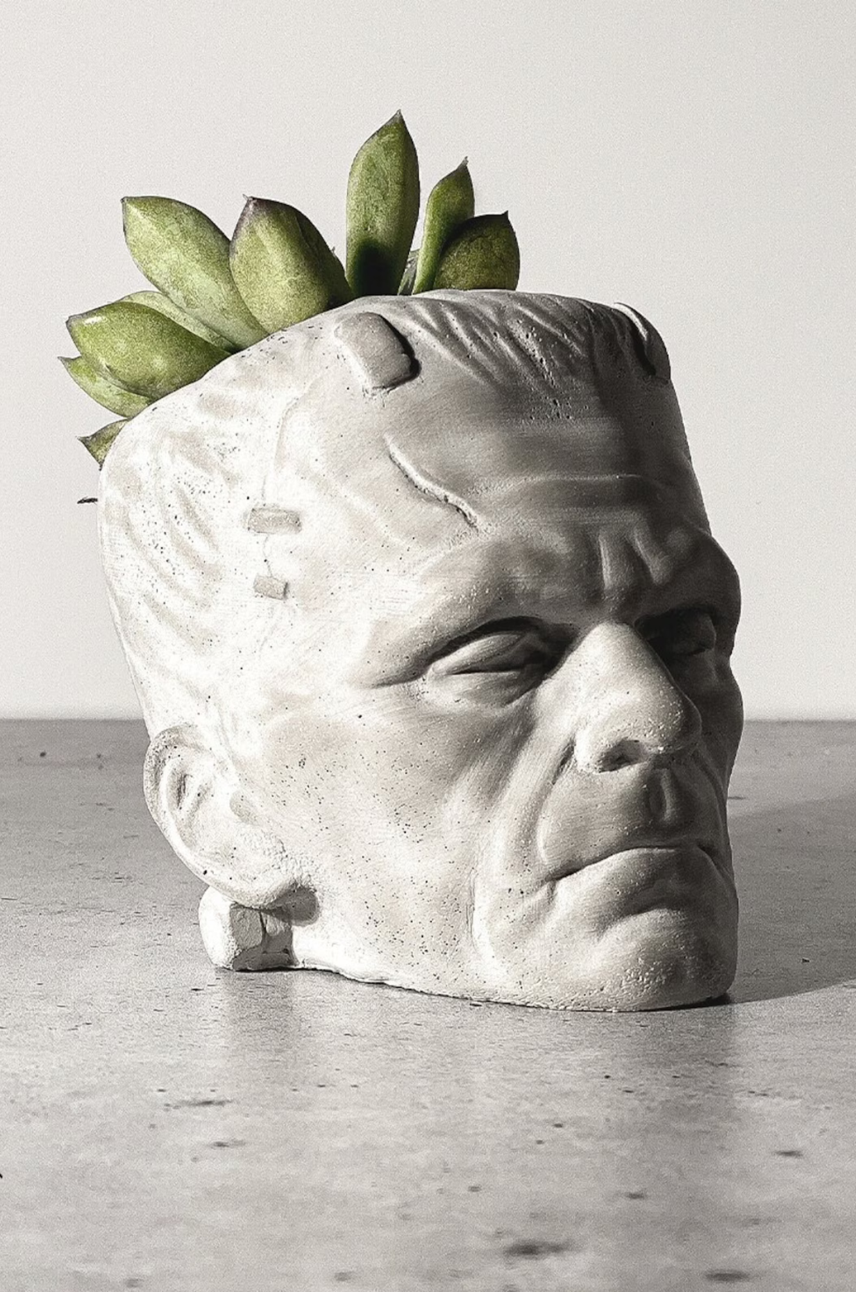 A planter shaped like the head of Frankenstein's Monster